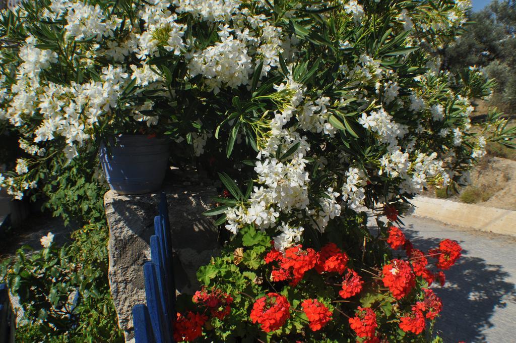 Korfes Apartments Kamilari Buitenkant foto